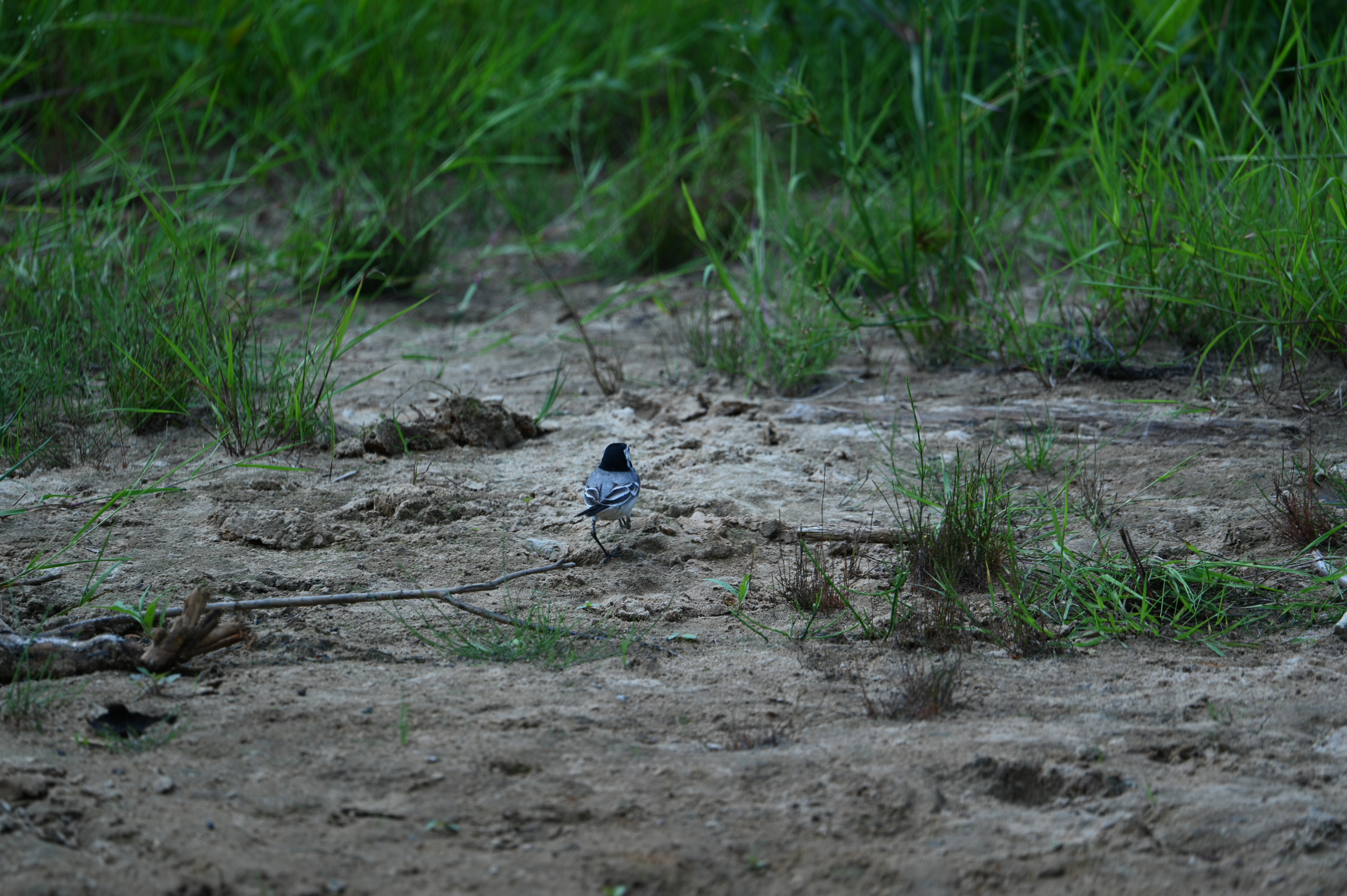 2025/07/09-14 - trip/DSC_0356.JPG